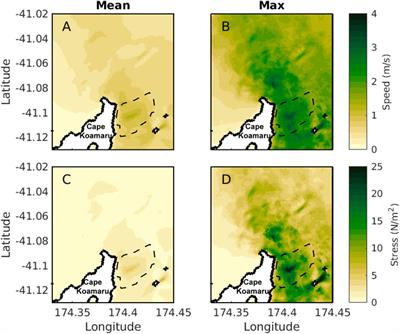 Evolution of marine gravel dunes on the open shelf under multi-directional currents conditions